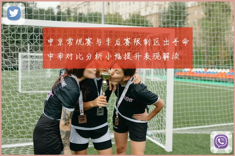 申京常规赛与季后赛限制区出手命中率对比分析小幅提升表现解读